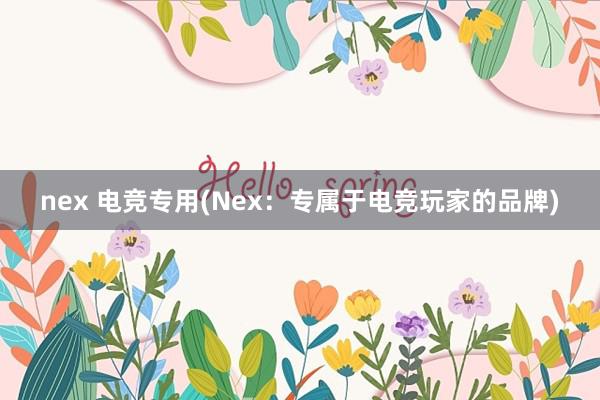 nex 电竞专用(Nex：专属于电竞玩家的品牌)