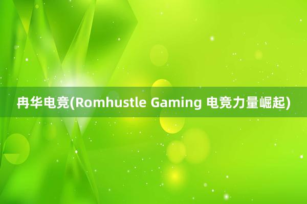 冉华电竞(Romhustle Gaming 电竞力量崛起)