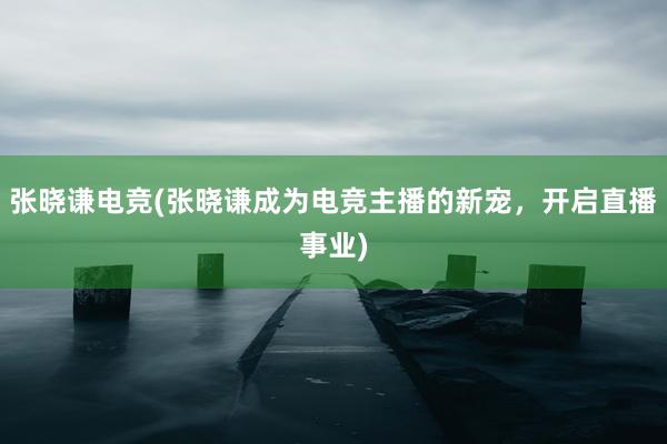 张晓谦电竞(张晓谦成为电竞主播的新宠，开启直播事业)