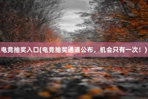 电竞抽奖入口(电竞抽奖通道公布，机会只有一次！)