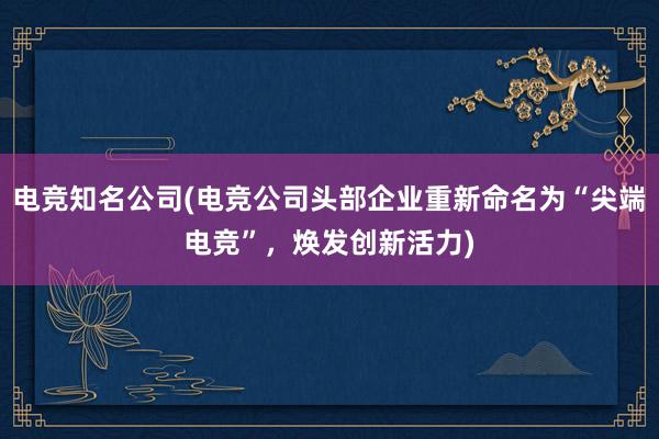 电竞知名公司(电竞公司头部企业重新命名为“尖端电竞”，焕发创新活力)