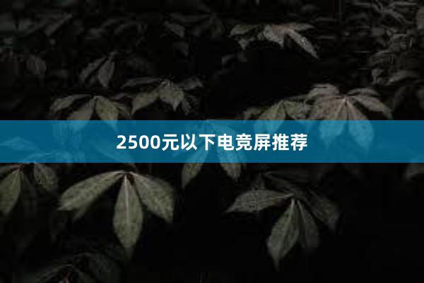 2500元以下电竞屏推荐