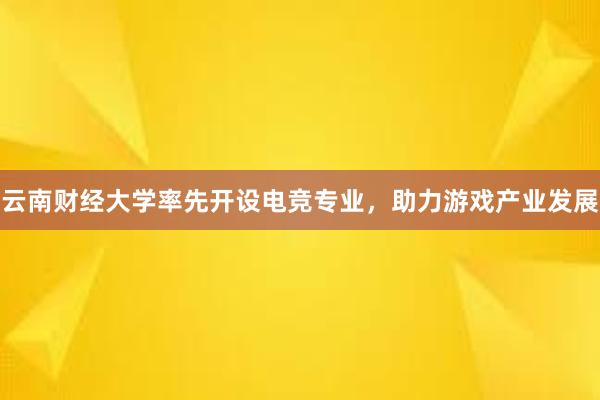 云南财经大学率先开设电竞专业，助力游戏产业发展