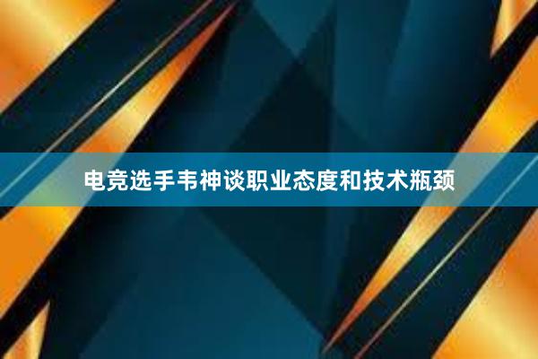 电竞选手韦神谈职业态度和技术瓶颈