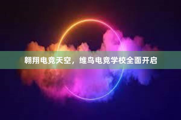 翱翔电竞天空，维鸟电竞学校全面开启