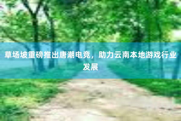 草场坡重磅推出唐潮电竞，助力云南本地游戏行业发展