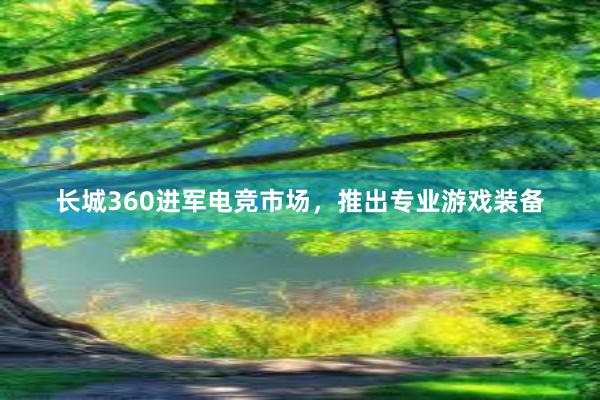 长城360进军电竞市场，推出专业游戏装备